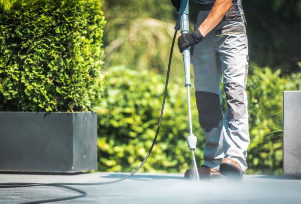 Best Building Exterior Washing  in Sigourney, IA